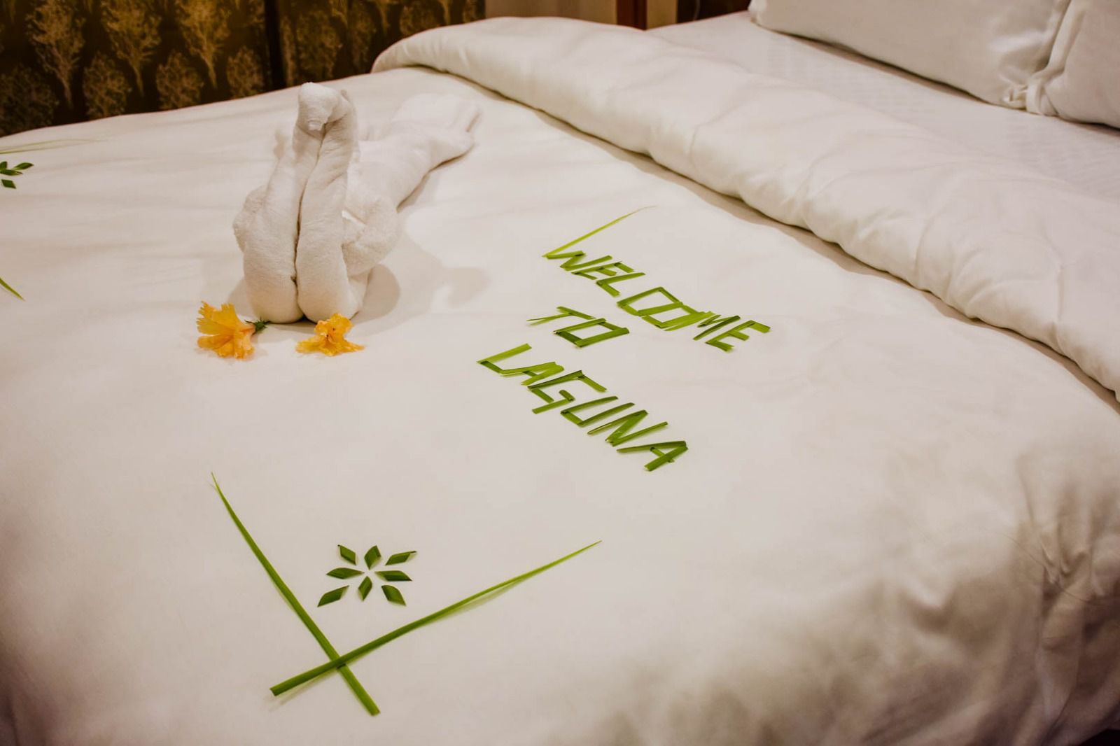Our Stay