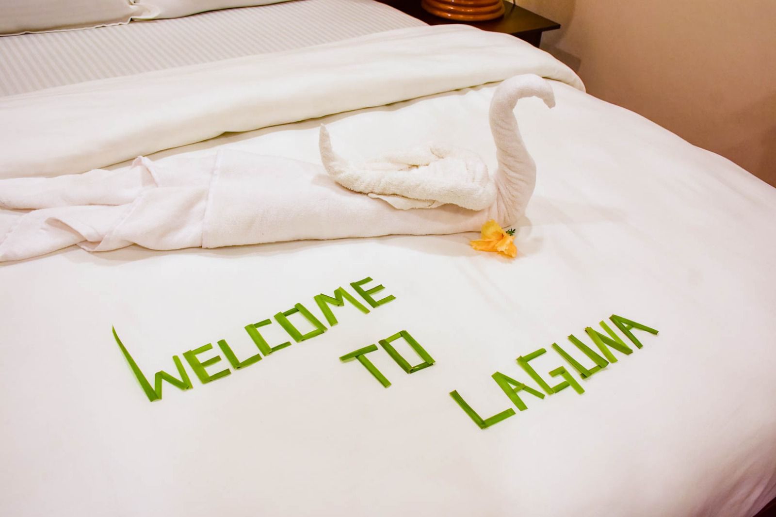 Our Stay